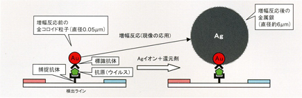 高感度検出技術